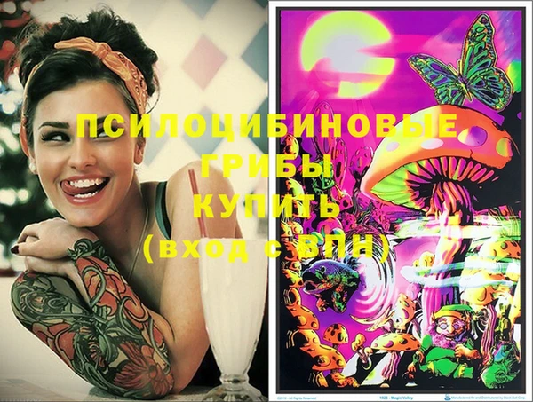 ГАЛЛЮЦИНОГЕННЫЕ ГРИБЫ Бежецк