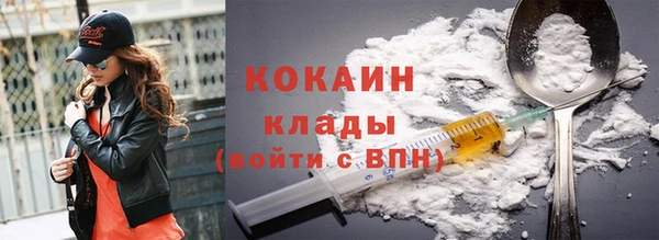гидра Бронницы